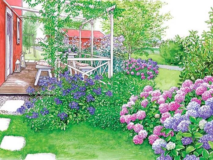 Die besten 25+ Hydrangea farben Ideen auf Pinterest Hortensien - abo mein schoner garten Die besten 25+ Hydrangea farben Ideen auf Pinterest Hortensien - abo mein schoner garten