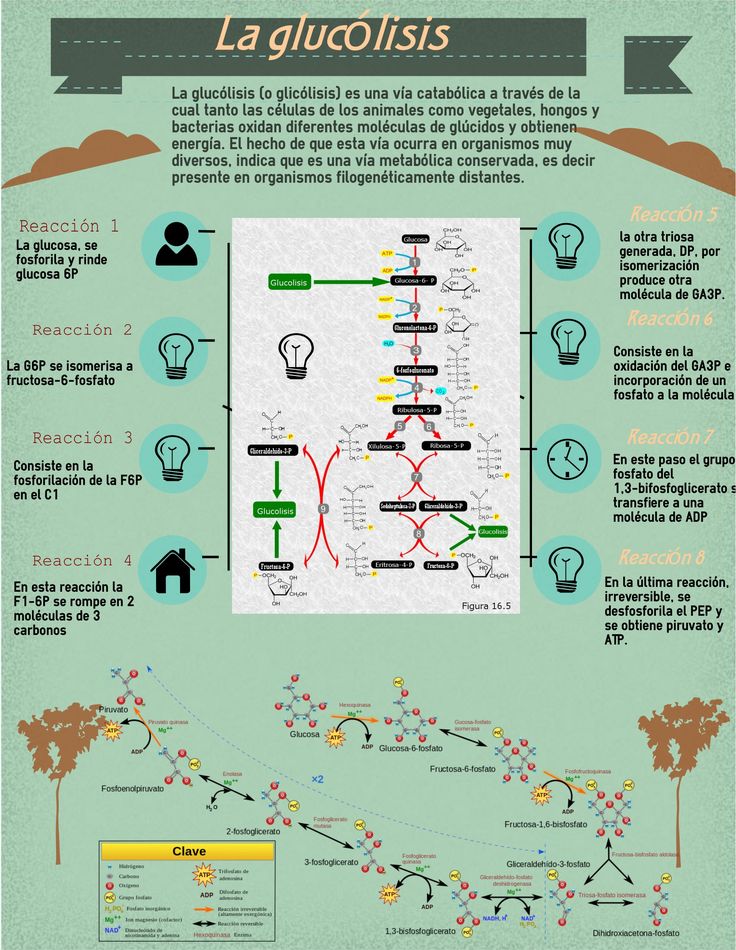 encuentra este pin y muchos ms en contenidos curriculares de housecrepes