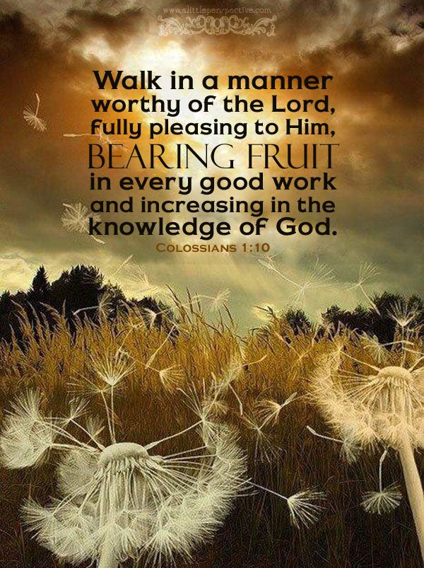 947 best bible verses images on pinterest bible verses biblical good works bible verse