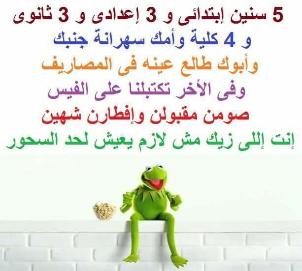اللى زى دول لازم يمسكوا السلك عريان Cool Words Funny Moments Funny