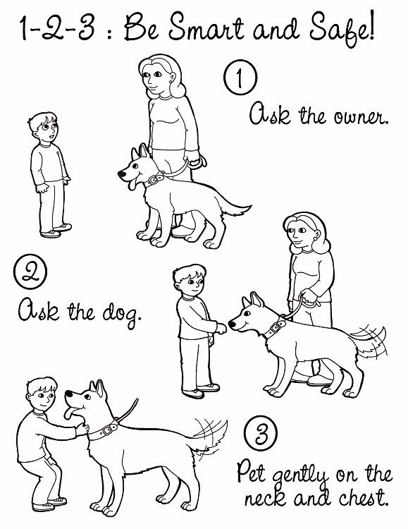 Food Coloring Safe For Dogs Food Coloring Safe For Dogs