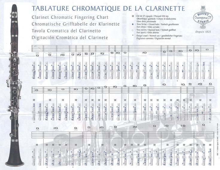 1240 best clarinet images on Pinterest Clarinet, Clarinets and - clarinet fingering chart 1240 best clarinet images on Pinterest Clarinet, Clarinets and - clarinet fingering chart