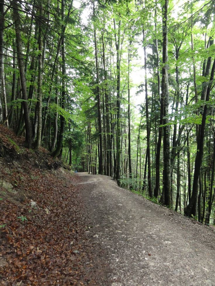Gollinger Wasserfall Der Schnste Wasserfall Im Gollinger Wasserfall Der Schnste Wasserfall Im