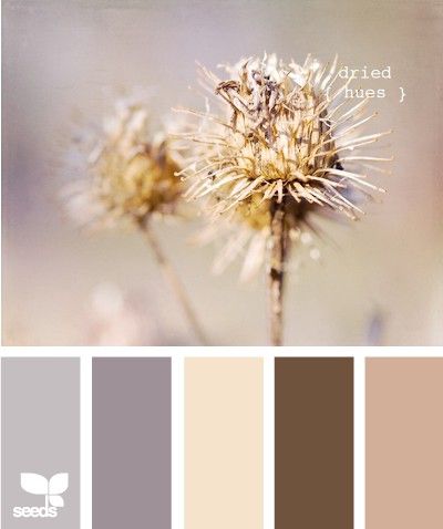 To Match Our Chocolate Brown Couch Color Combos Hue Inspiration To Match Our Chocolate Brown Couch Color Combos Hue Inspiration In 2019 Pinterest Room Schemes And Living Colors