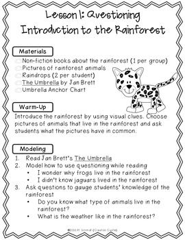 Rainforest books for elementary students