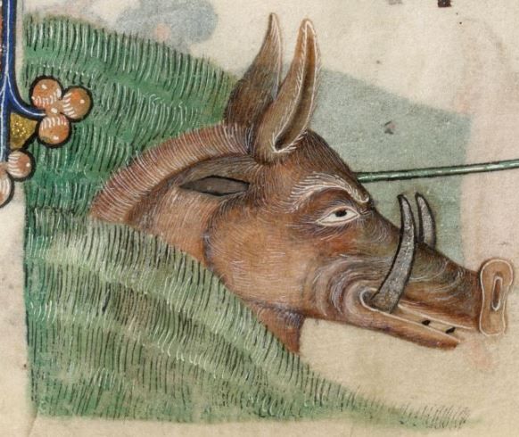 Image result for medieval manuscript boar philosopher