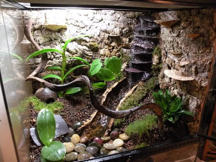 Best 10+ Leopard Gecko Habitat Ideas On Pinterest Leopard Gecko Home Aquarium Ideas: The Aquarium Buyers Guide leopard gecko vivarium ideas - I wouldnt do - Best 10+ Leopard Gecko Habitat Ideas On Pinterest Leopard Gecko