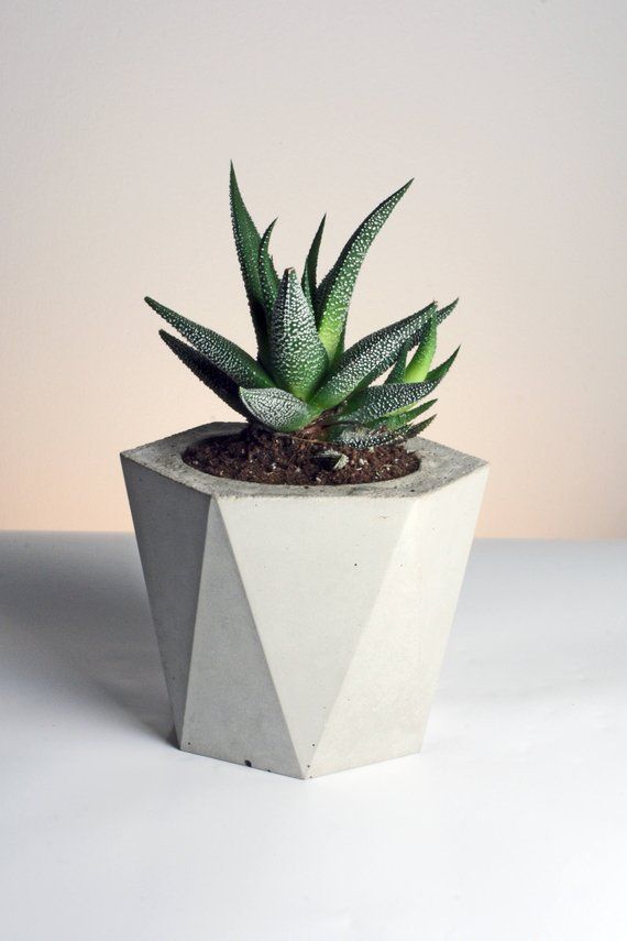 Diy Cement Planters Cement Geometric Candle Holder Pentagonal