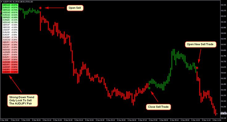 neuroshell forex