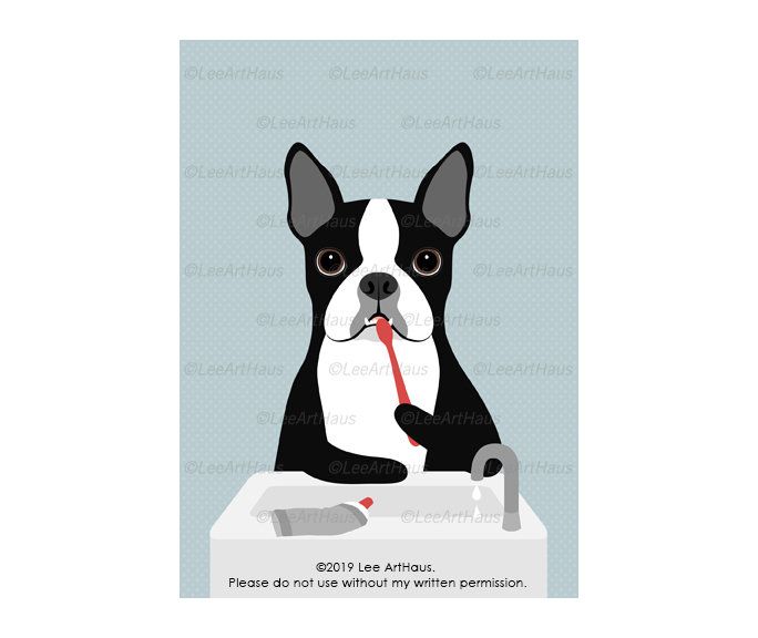 BOSTON TERRIER PHOTO 5x7 Photo Print Cute!!