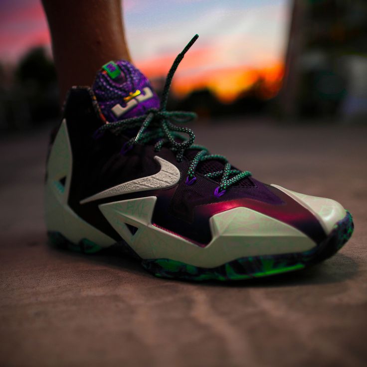 lebron king james shoes nike air jordan