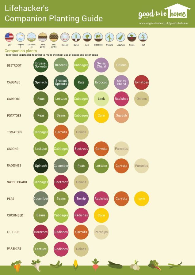 create a personalized vegetable gardening cheat sheet with this tool garden layout tool