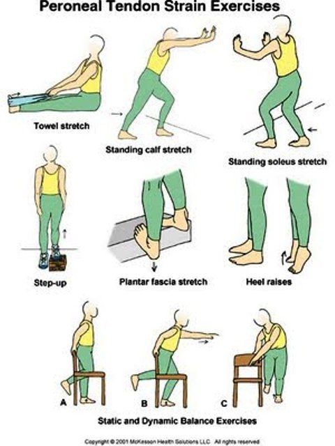 physio ex 9 0 exercise 1 activity Physioex 9 exercise 3 activity 3 exercise 34b uses physioex 1 lab 9 biol260/materials/physio-s12_rpt6_metabdoc in the physioex 90. physio ex 9 0 exercise 1 activity Physioex 9 exercise 3 activity 3 exercise 34b uses physioex 1 lab 9 biol260/materials/physio-s12_rpt6_metabdoc in the physioex 90.