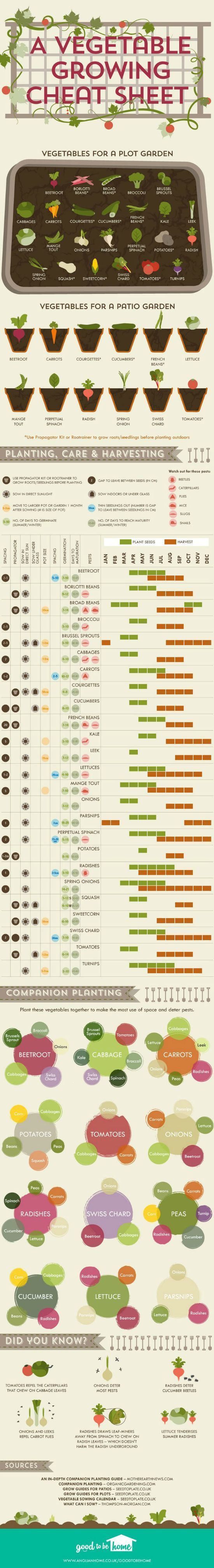 best Ve able gardening ideas images on Pinterest A handy ve able planting calendar and useful guide to growing ve ables for beginners perfect for
