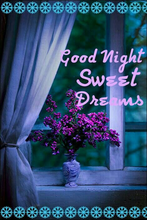 good night my princess
