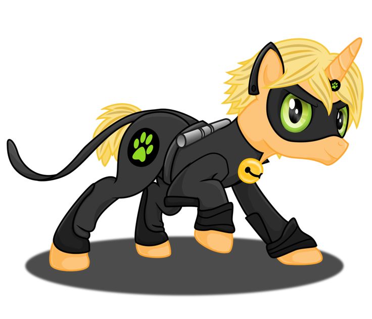 Cat Noir Fofinho Miraculous Ladybug Anime Miraclous Ladybug Ladybug Anime