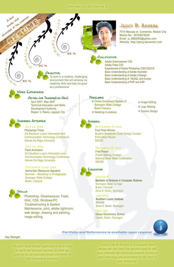 attractive resume format for experienced