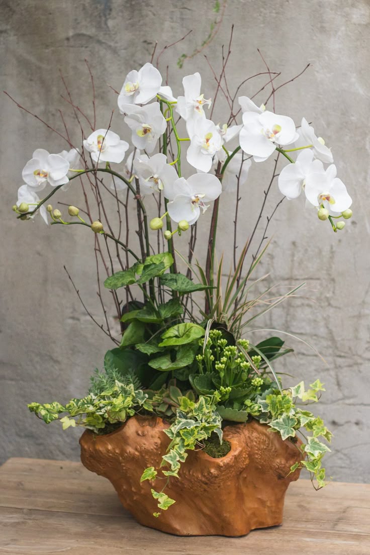 best 25+ orchid arrangements ideas on pinterest | orchid flower best 25+ orchid arrangements ideas on pinterest | orchid flower