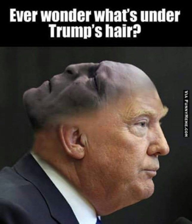 4463 best funny memes images on pinterest funny stuff, funny d014778c5e9f56f83253ca2f76c0f39e funny ha ha funny cute 4463 best funny memes images on pinterest funny stuff, funny