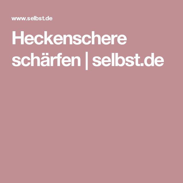30 best Terrassenelvira images on Pinterest Cool ideas, Craft and - auswahl materialien terrassenuberdachung 30 best Terrassenelvira images on Pinterest Cool ideas, Craft and - auswahl materialien terrassenuberdachung