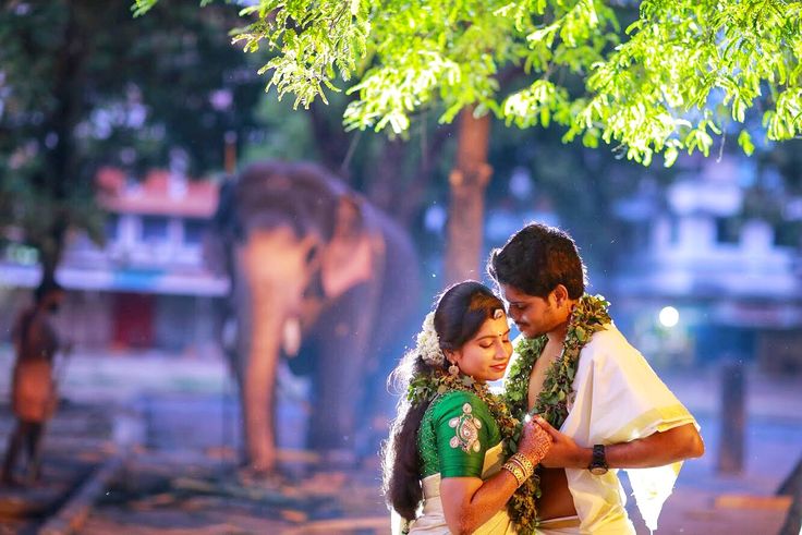 Kerala traditional wedding | Traditional wedding, Couple photos, Wedding