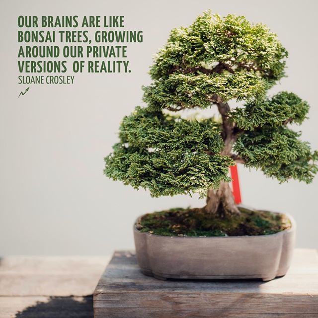 Bonsai Tree Quote Karate Kid Quotes