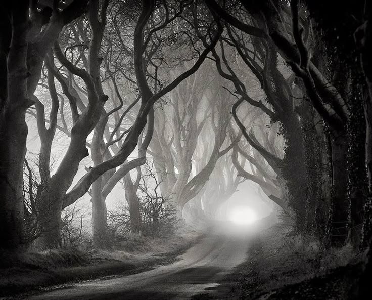 foggy and eerie