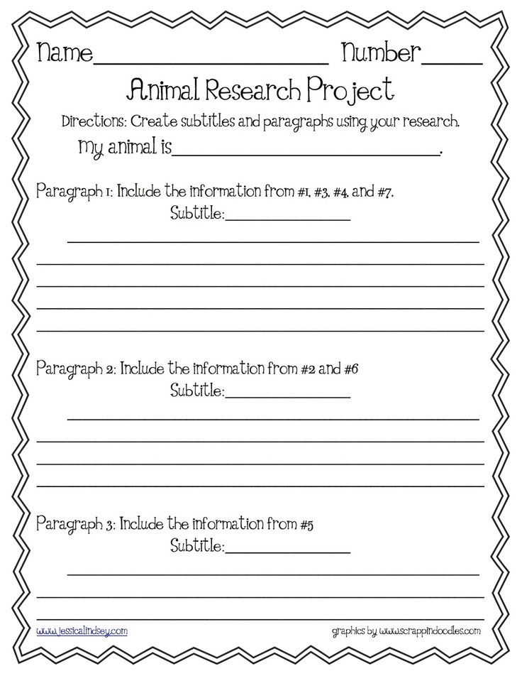 41 best Paragraph Structure images on Pinterest Paragraph
