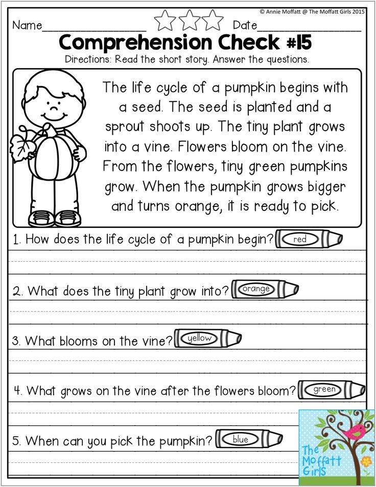 comprehension check Reading comprehension checks - read the simple story and answer the comprehension questions 20 stories that use sight words, digraphs and blends. comprehension check Reading comprehension checks - read the simple story and answer the comprehension questions 20 stories that use sight words, digraphs and blends.