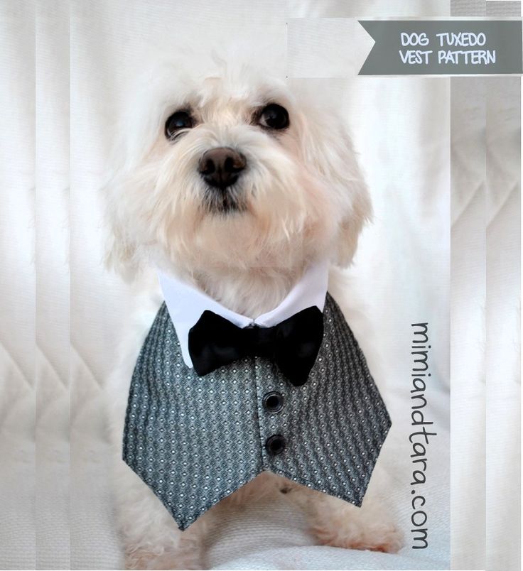 Free Dog Vest Pattern Free Dog Vest Pattern