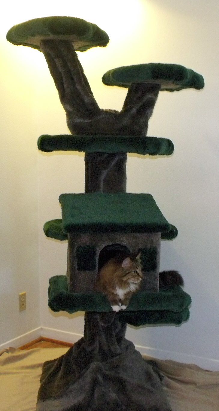 Best Cat Furniture Images On Pinterest Cat Furniture Cat - Cat Tree Steve's Blog Just Another Wordpresscom Weblog Page Cat best cat furniture images on pinterest cat furniture cat - cat tree steve's blog just another wordpresscom weblog page cat
