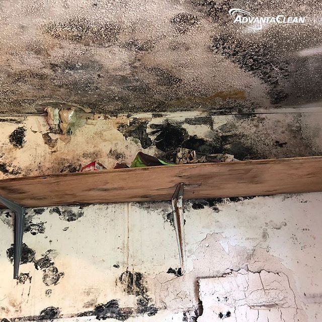 Its Important To Look For Signs Of Mold In Home Because Mold Spores From Your Air Conditioning And Heating Ducts Can Ducted Heating Molding Vintage World Maps