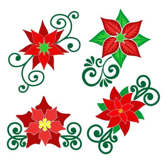 Cameo Paper flower template svg pdf dxf cut files Christmas flower Christmas Cricut Commercial License Poinsettia svg poinsettia svg