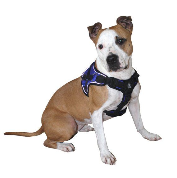 Durable No Pull Comfort Walking Working Dog Harness With Handle