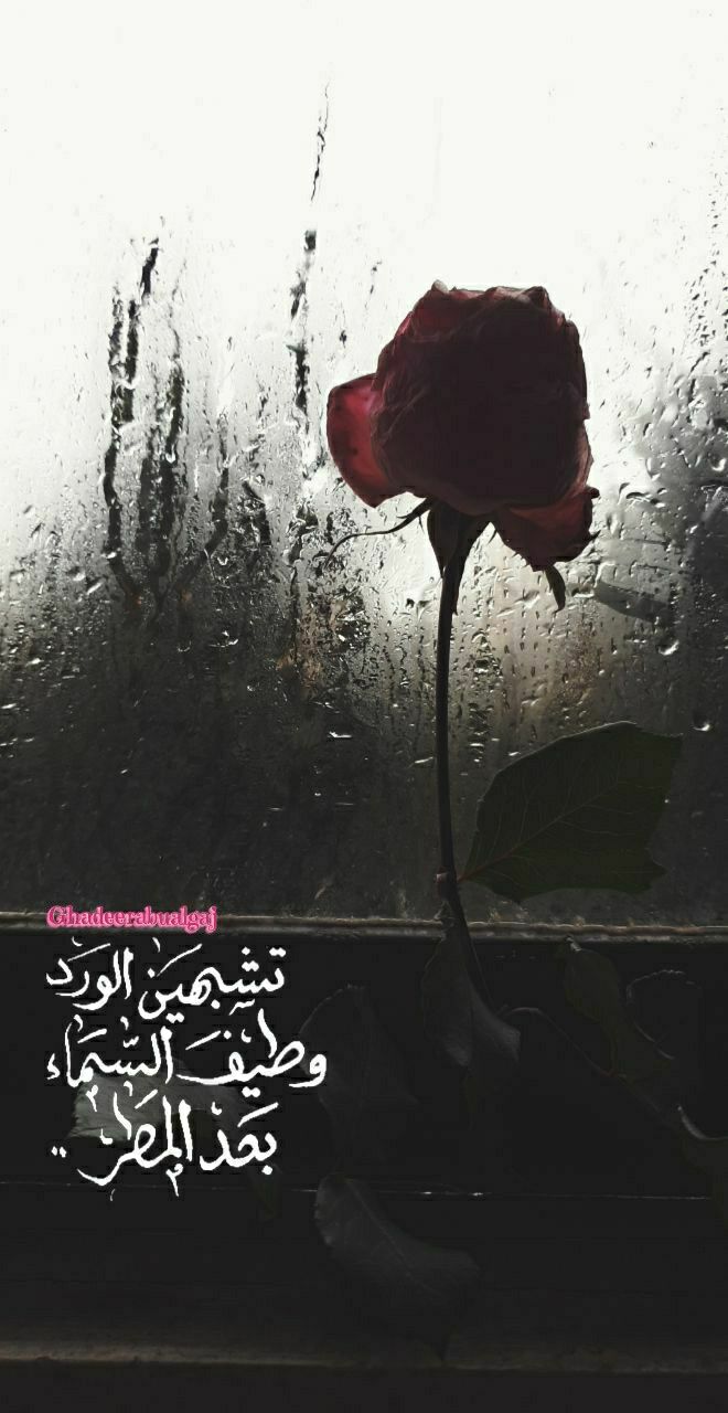 تشبهين الورد وطيف السماء بعد المطر Red Roses Photo Art Art