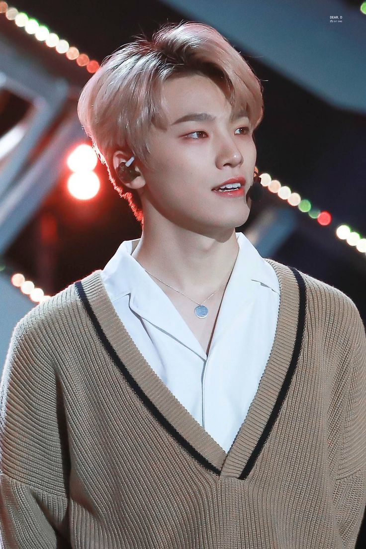 lee chan seventeen scoups korean idol seventeen lee chan seventeen scoups korean idol seventeen