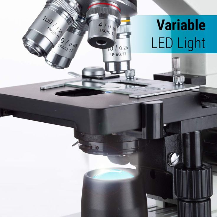 OMAX 40X-2000X Binocular Compound LED Microscope with Glass Slides & Covers OMAX 40X-2000X Binocular Compound LED Microscope with Glass Slides & Covers