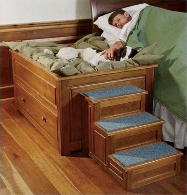 118 Best Dog Furniture Images On Pinterest 20 Fun House Design Ideas For Your Pets
