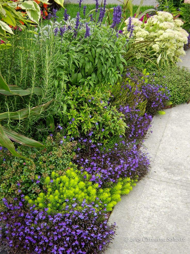 2619 Best Garden 2619 Best Garden