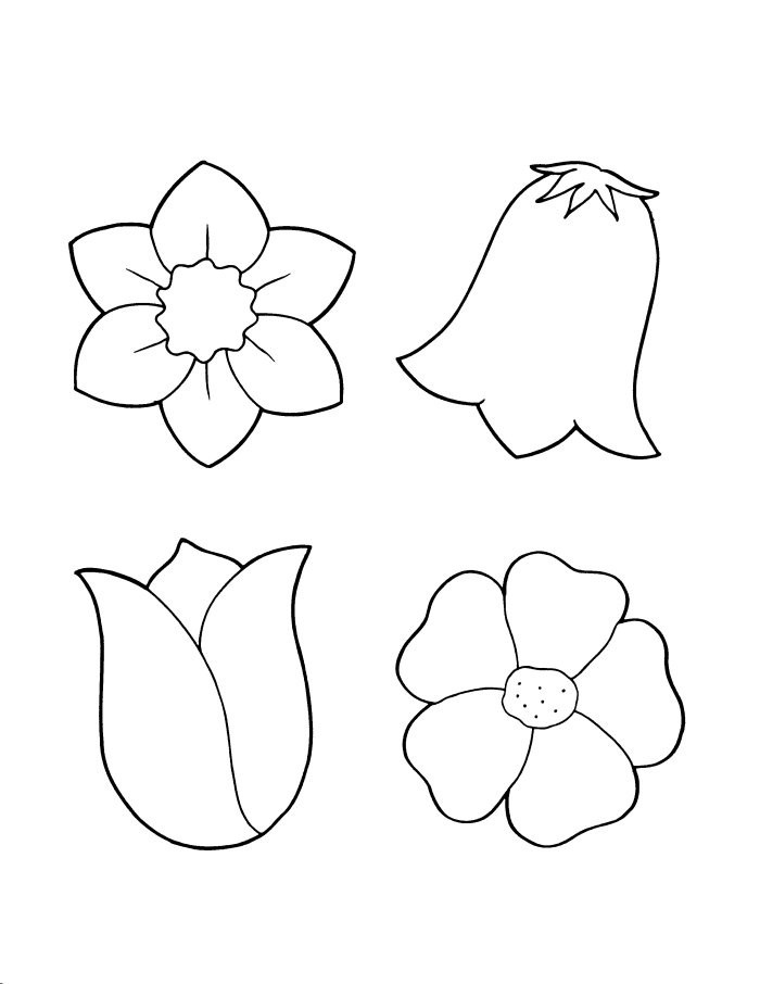 Spring flower coloring sheets Spring flower coloring sheets
