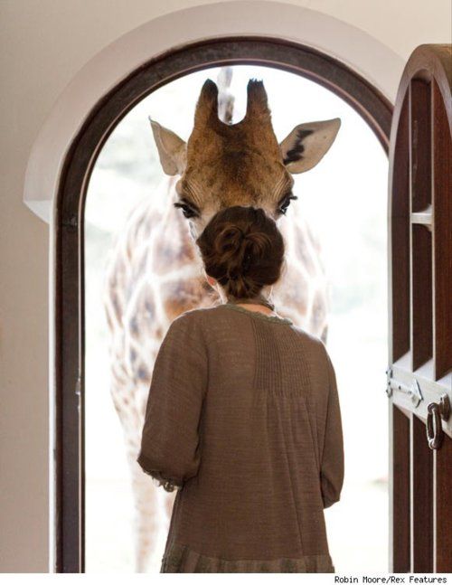 I opened the door and i saw creative essay