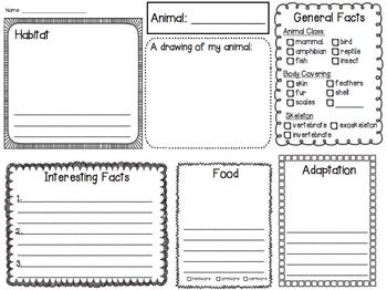Animal Research Template Teaching creative writing Word work Animal Research Template Teaching creative writing Word work