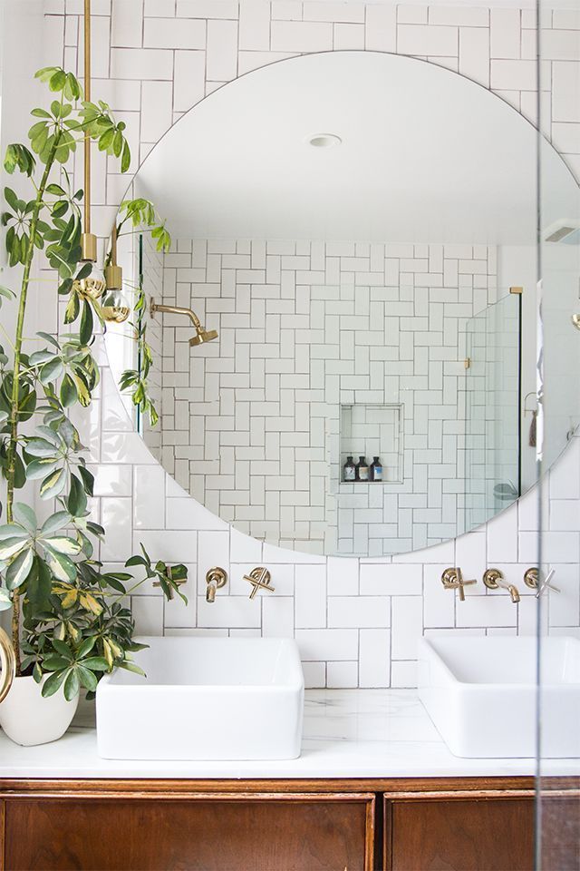 Cool Bathroom Plants 64 best plants :: bathroom images on pinterest | bathroom ideas Cool Bathroom Plants 64 best plants :: bathroom images on pinterest | bathroom ideas