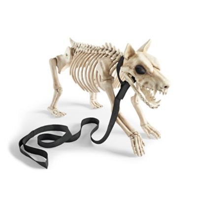 small skeleton dog halloween decorations and decor grandin road