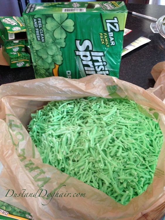 How to Keep Nibblers From Your Garden!