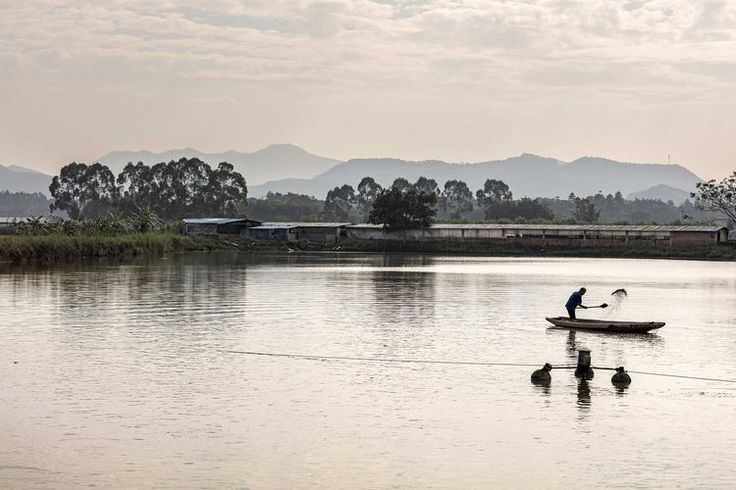 Pearl River Delta In Southern China’s Guangdong Province