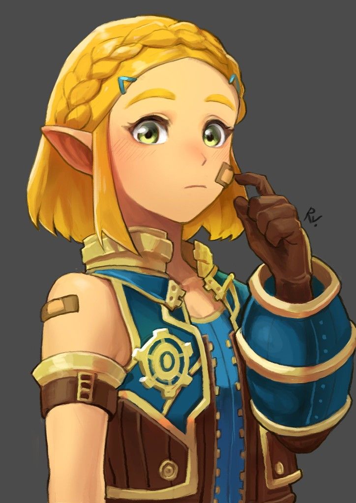Pin By Cailyn Wescoat On Princess Zelda Breath Of The Wild Xenoblade Chronicles Legend Of Zelda Xenoblade Chronicles 2