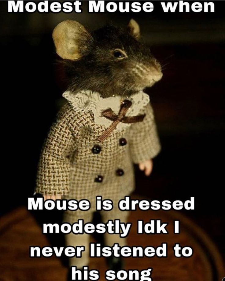 Pin by Enrique Reyes on just for funny Afrikaanse quotes