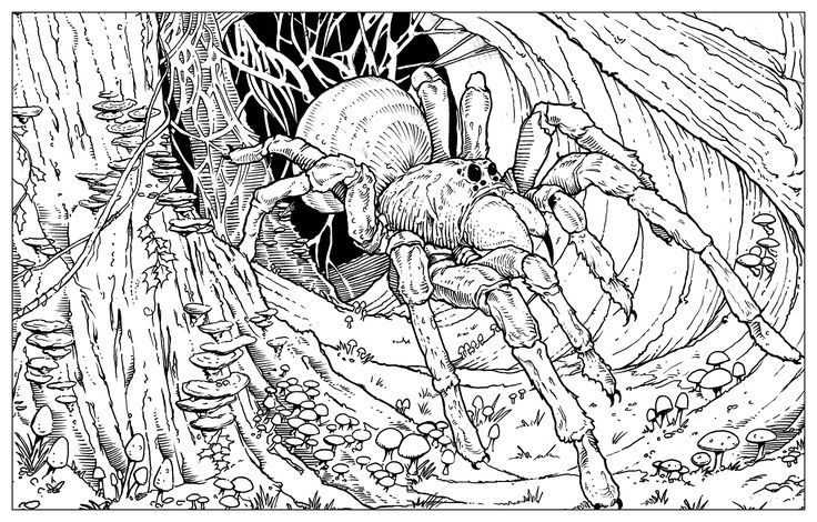 Download Pin on Coloring