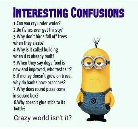 30 Funny Minion Quotes You Need to Read -